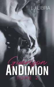 AnDimion Guérison couv ebook
