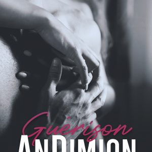 AnDimion Guérison – tome 2