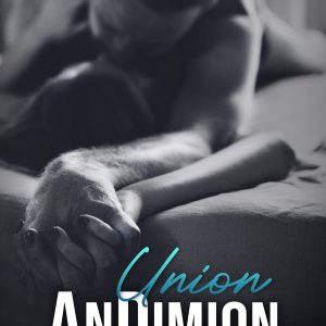 AnDimion Union – tome 3